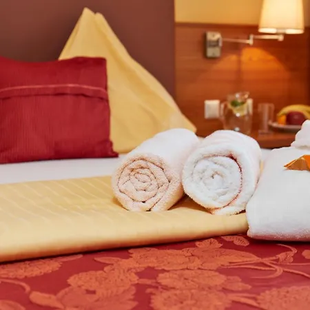 Thermalhotel Fontana Hotel 4*